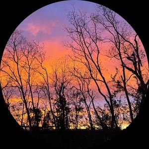 Meet your Posher, Jaxon